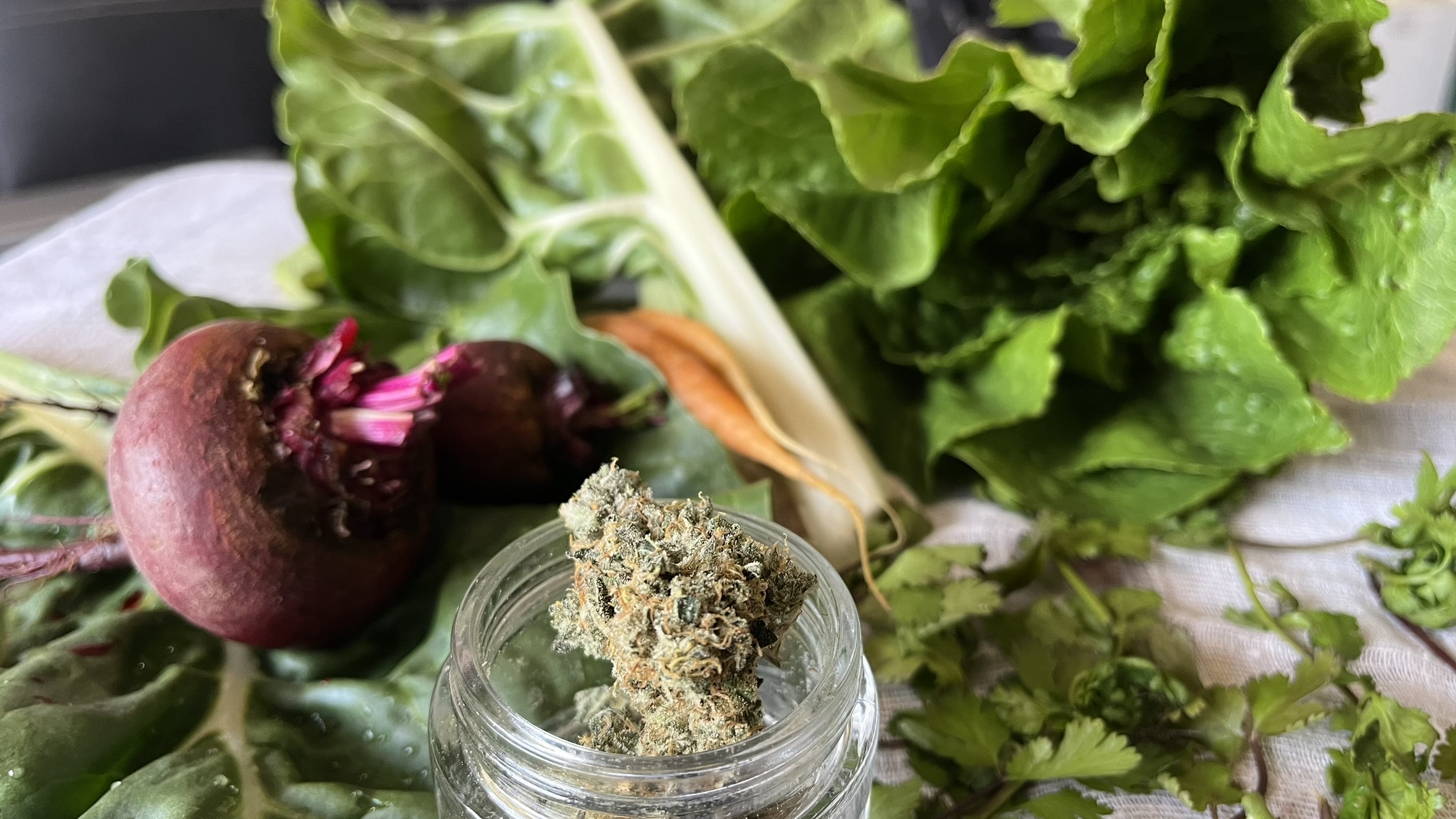 Campos de autocultivo AMB en Baja California